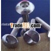 Stainless steel drywall screw