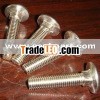 Nickel Plated Carriage bolt