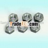 Stainless Steel Nuts