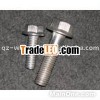 Stainless steel bolts