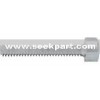 Titanium Screw (Made in Japan)