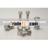 Stainless steel bolt