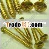 Tapping Screw/Self Drilling Screw