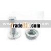 NF-5093 Galvanized Screw
