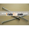 Steel Carriage  Bolts