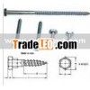 Hex Head Wood Screw DIN571
