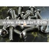 Phillips slot Binding screw
