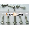 Hexagon Drilling Screw(factory)