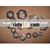 HEX NUTS