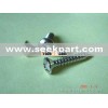 CROSS RECESSED RAISED COUNTERSUNK HEAD TAPPING