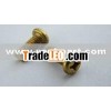 Copper screw