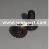 TAPTITE PAN TORX WITH PIN SCREW