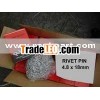 Rivet Pin