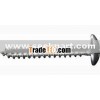 Pan head self driling screw