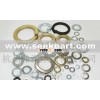 Spring wahsers & Flat washers
