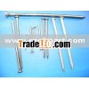 common wire nail with good polished (factor)