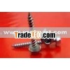 stainless tapping chipboard screws