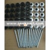Roofing screws with washers