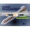 Hexagon wood screws
