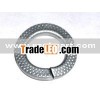 spring lock washer (BN208012)