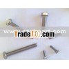 All kinds Stainless Steel Screw