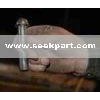 Rivet