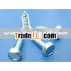 hexagon cap head self-tapping drywall screw