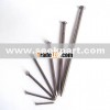 Gypsum Board Screw