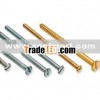 Round Head Slotted Screw