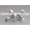 hex flange nuts
