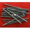 Polished steel common round head nail