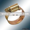 German Type Hose Clamp