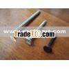 bugle head phillips drywall screw