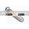 Best-sale Hexagonal screw ANSI571