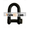 Eurnpean Trawling Shackle With Squle Head Screw Pin