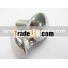 Stainless steel carriage bolts with square neck