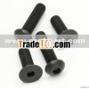 black oxide hex indented bolt