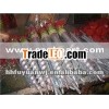 (factory)ground screw spike