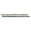 heavy rail
