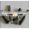 GR2 GR5 Titanium Double Head screws