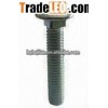 Brass Carriage Bolt