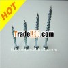 Phillips bugle head Drywall Screw