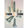 DIN571 Coach Screw