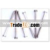 Common Iron Nails