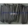 common wire nail, roofing nail,coil nails, concrete nail