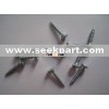 drywall screw (factory)