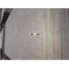 container plywood