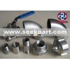 Stainless Steel Pipe Fittings