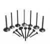 engine valves for motorcycle