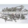 Self tapping screws, DIN7981, DIN7982, tapping screws